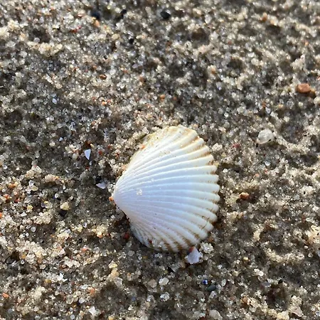 Bruns Wiek Haus Max Einfach Дом отдыха Циров